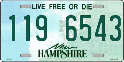 NH license plate 1196543