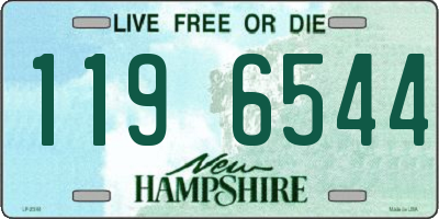 NH license plate 1196544