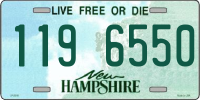 NH license plate 1196550