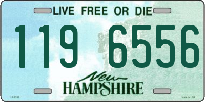 NH license plate 1196556
