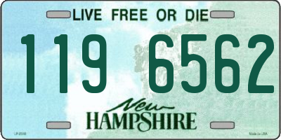 NH license plate 1196562