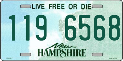 NH license plate 1196568
