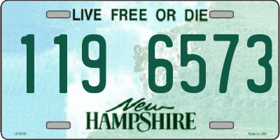NH license plate 1196573