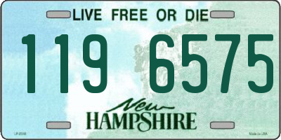 NH license plate 1196575