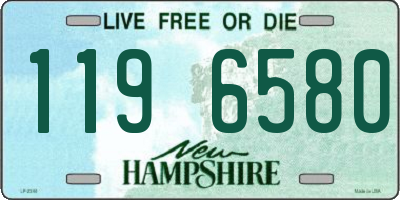 NH license plate 1196580