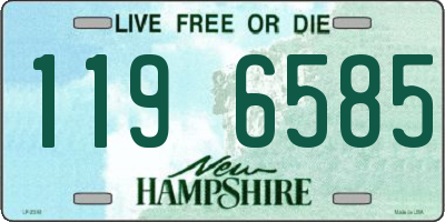 NH license plate 1196585