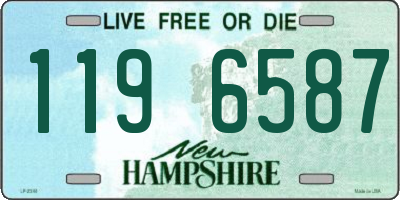 NH license plate 1196587