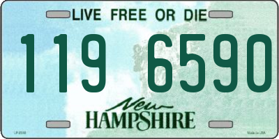 NH license plate 1196590