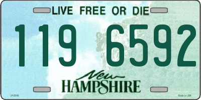 NH license plate 1196592