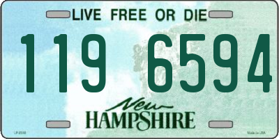 NH license plate 1196594