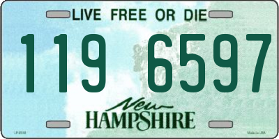 NH license plate 1196597