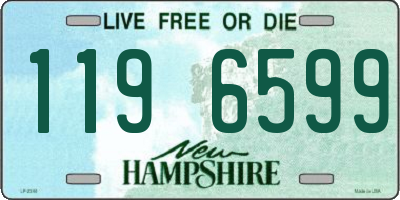 NH license plate 1196599