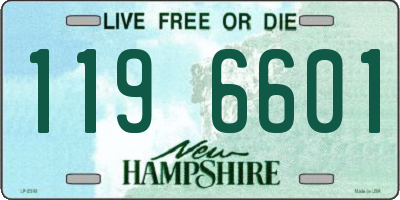NH license plate 1196601