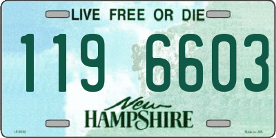 NH license plate 1196603