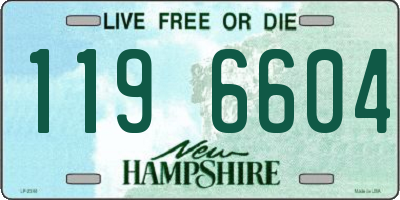 NH license plate 1196604