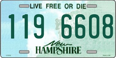 NH license plate 1196608