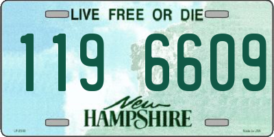 NH license plate 1196609