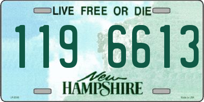 NH license plate 1196613
