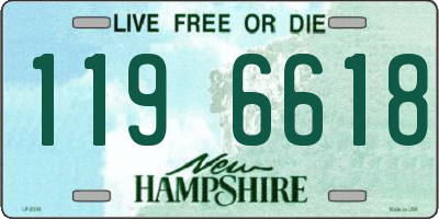NH license plate 1196618