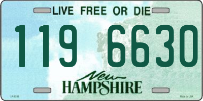 NH license plate 1196630