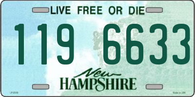 NH license plate 1196633