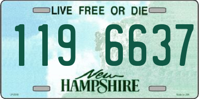 NH license plate 1196637