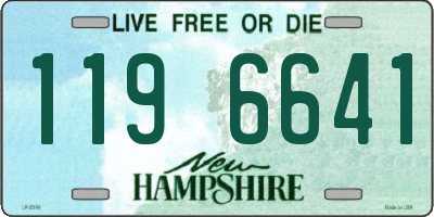 NH license plate 1196641