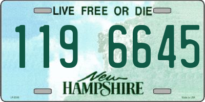 NH license plate 1196645