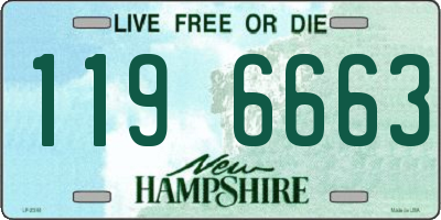 NH license plate 1196663