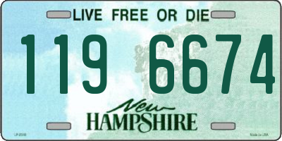 NH license plate 1196674