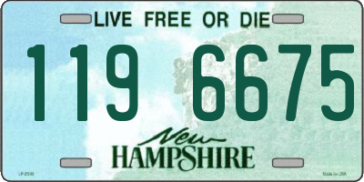 NH license plate 1196675
