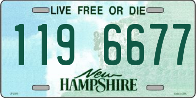 NH license plate 1196677