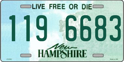 NH license plate 1196683