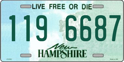 NH license plate 1196687