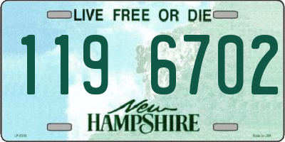 NH license plate 1196702
