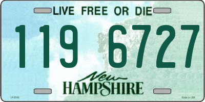 NH license plate 1196727