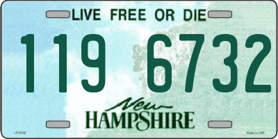 NH license plate 1196732