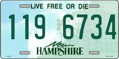 NH license plate 1196734