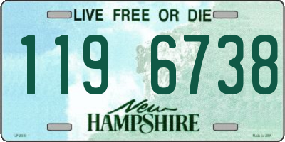 NH license plate 1196738