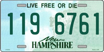 NH license plate 1196761