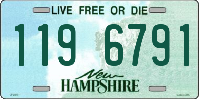 NH license plate 1196791