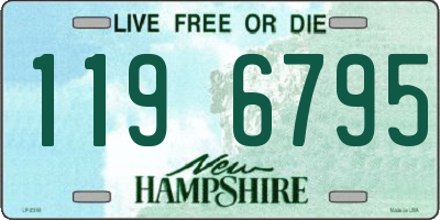 NH license plate 1196795