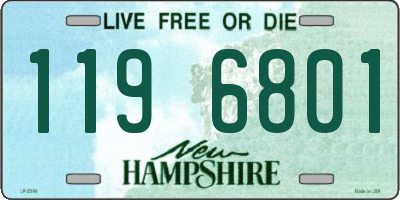 NH license plate 1196801
