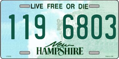 NH license plate 1196803