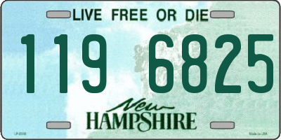 NH license plate 1196825