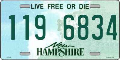 NH license plate 1196834