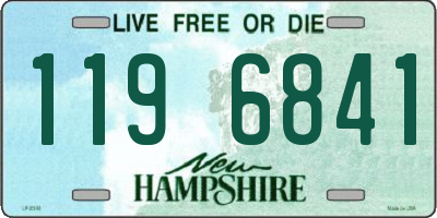 NH license plate 1196841