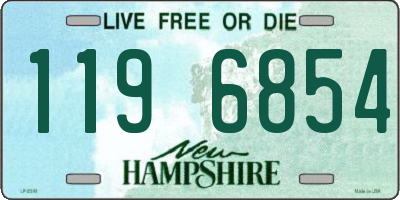 NH license plate 1196854