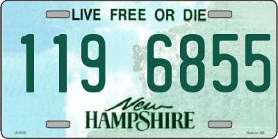 NH license plate 1196855