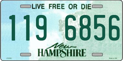 NH license plate 1196856